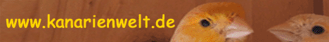 Fotos und Informationen &uuml;ber Kanarien