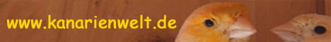 30 Kanarienwelt